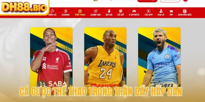 Cá cược thể thao trong trận đầy hấp dẫn