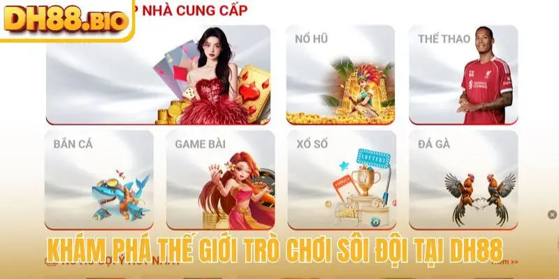 Khám phá thế giới trò chơi sôi đội tại DH88